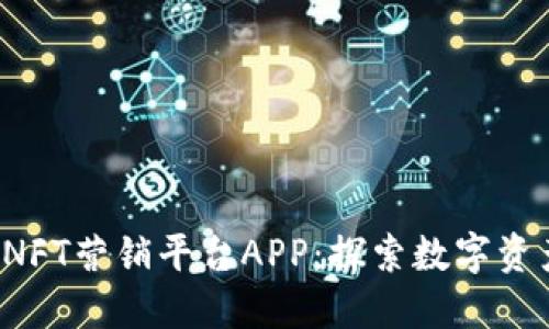  区块链NFT营销平台APP：探索数字资产的未来
