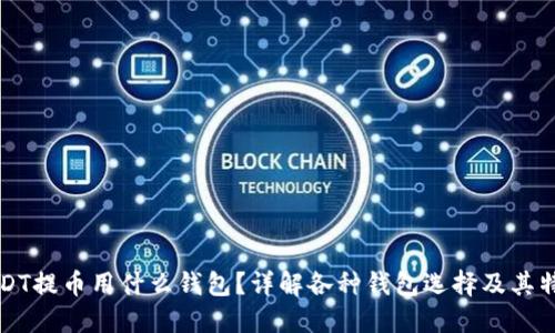 USDT提币用什么钱包？详解各种钱包选择及其特点