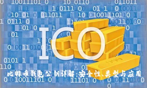 比特币钱包公钥详解：安全性、类型与应用