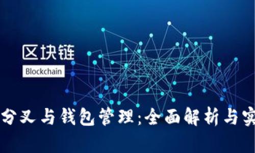 比特币分叉与钱包管理：全面解析与实践指南