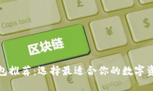 数字货币钱包推荐：选择最适合你的数字资产管理工具