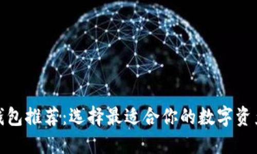 数字货币钱包推荐：选择最适合你的数字资产管理工具