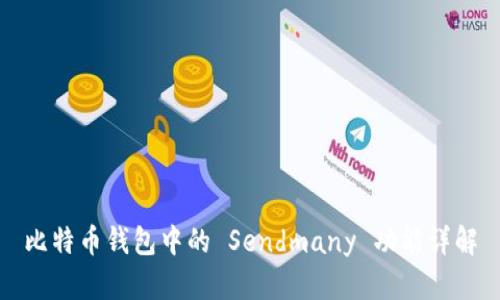 比特币钱包中的 Sendmany 功能详解