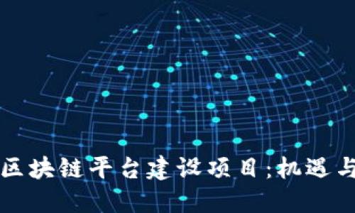 郑州区块链平台建设项目：机遇与挑战