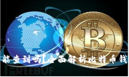 : 比特币钱包能查到吗？全面解析比特币钱包的可追溯性