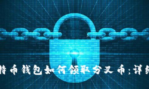 老比特币钱包如何领取分叉币：详细指南