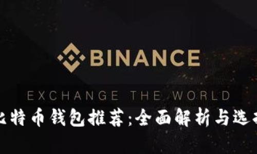 全球比特币钱包推荐：全面解析与选择指南