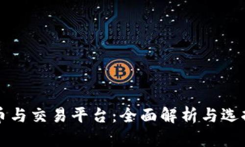比特币与交易平台：全面解析与选择指南